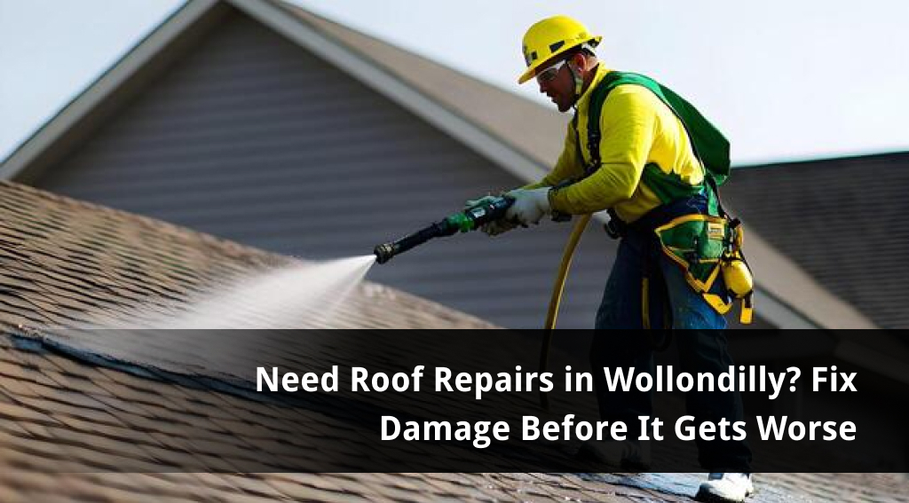 roof repairs Wollondilly
